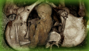 Picture 24 Weird Facts That Sound Too Crazy To Be True