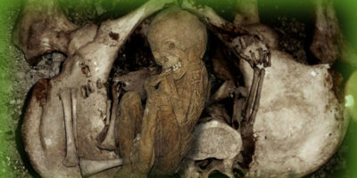 Picture 24 Weird Facts That Sound Too Crazy To Be True