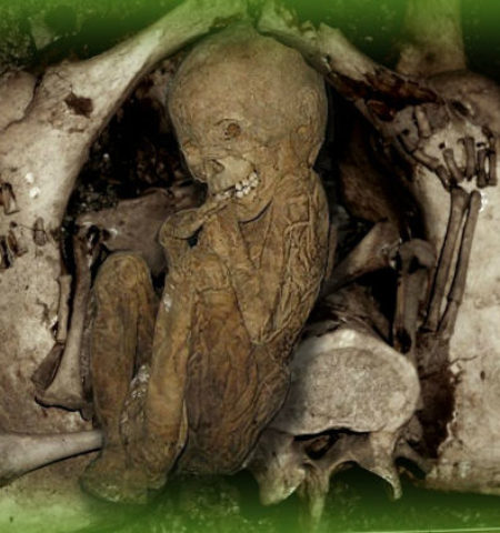 Picture 24 Weird Facts That Sound Too Crazy To Be True