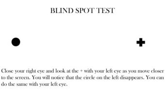 Picture 10 Amazing Facts About Human Body That’ll Make You Say “Wow!”