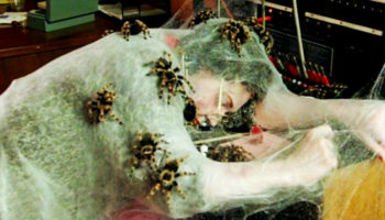 Picture Spiders Could, Theoretically, Devour the Entire Human Race in a Year and Still Be Hungry