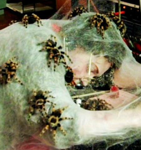 Picture Spiders Could, Theoretically, Devour the Entire Human Race in a Year and Still Be Hungry