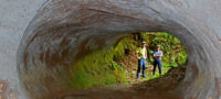 Picture Mysterious Mega-Tunnels of South America Dug by the Extinct Megasloth