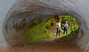 Picture Mysterious Mega-Tunnels of South America Dug by the Extinct Megasloth