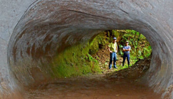 Picture Mysterious Mega-Tunnels of South America Dug by the Extinct Megasloth