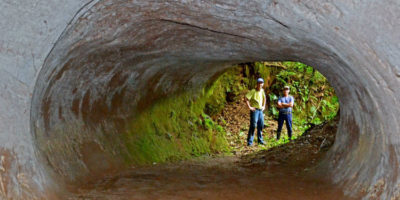 Picture Mysterious Mega-Tunnels of South America Dug by the Extinct Megasloth