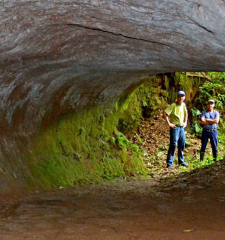 Picture Mysterious Mega-Tunnels of South America Dug by the Extinct Megasloth