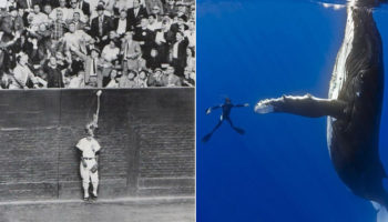 Picture 10 Perfectly Timed Photographs With Their Backstories