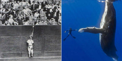 Picture 10 Perfectly Timed Photographs With Their Backstories