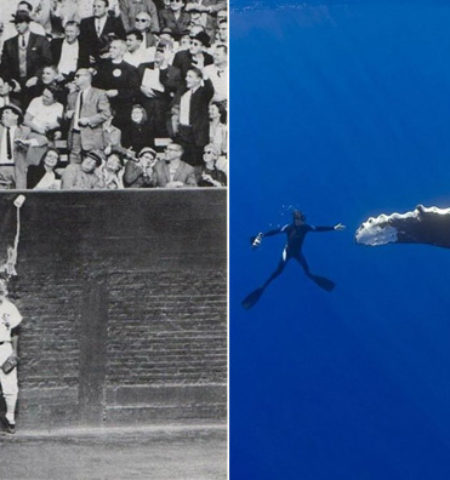 Picture 10 Perfectly Timed Photographs With Their Backstories