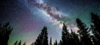 Picture Is It True: There are more trees on Earth than there are stars in the Milky Way galaxy?