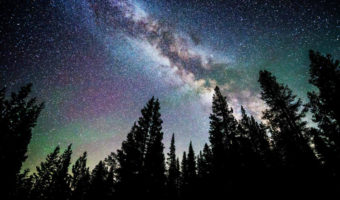 Picture Is It True: There are more trees on Earth than there are stars in the Milky Way galaxy?