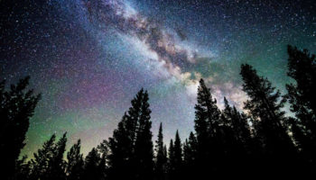 Picture Is It True: There are more trees on Earth than there are stars in the Milky Way galaxy?