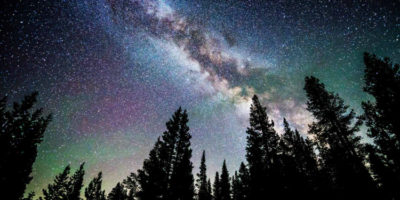 Picture Is It True: There are more trees on Earth than there are stars in the Milky Way galaxy?