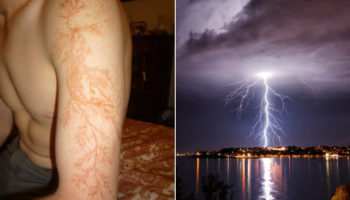 Picture 10 Facts That Sound Like Complete Bullshit But Are Actually True