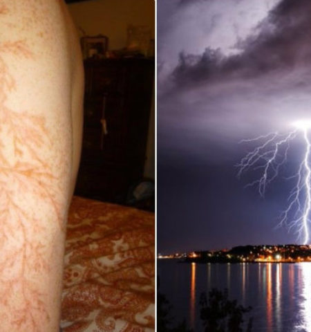 Picture 10 Facts That Sound Like Complete Bullshit But Are Actually True