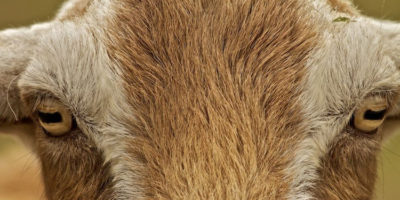 Picture 10 Random Fun Facts to Kill Your Boredom – Part 4