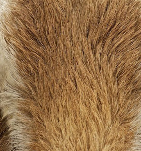 Picture 10 Random Fun Facts to Kill Your Boredom – Part 4