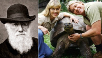 Picture 24 Historical Date Comparisons Which Will Change Your Perception Of Time