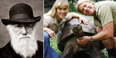 Picture 24 Historical Date Comparisons Which Will Change Your Perception Of Time