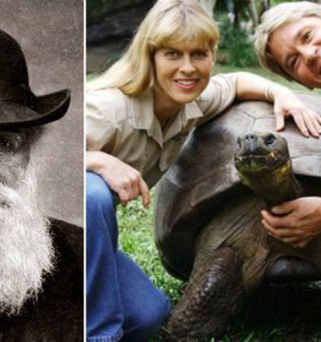 Picture 24 Historical Date Comparisons Which Will Change Your Perception Of Time