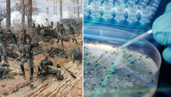 Picture Angel’s Glow – The Mysterious Glowing Wounds of American Civil War Solved 140 Years Later by Two Teenagers