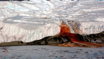 Picture Scientists Have Finally Uncovered the 100-Year-Old Mystery of Blood Falls in Antarctica
