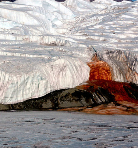 Picture Scientists Have Finally Uncovered the 100-Year-Old Mystery of Blood Falls in Antarctica