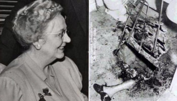 Picture 10 Unbelievable Sounding Stories That Are 100% True