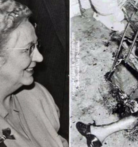 Picture 10 Unbelievable Sounding Stories That Are 100% True