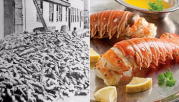 Picture 10 Things That Were Trashy 100 Years Ago, But Classy Now