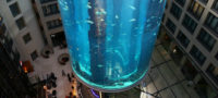 Picture The Aquarium That’s 82 Feet Tall, Has a Glass Elevator, and is Home to 1,500 Fishes