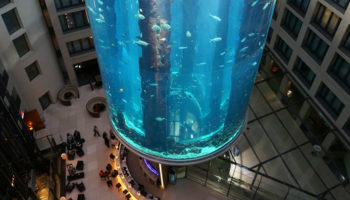 Picture The Aquarium That’s 82 Feet Tall, Has a Glass Elevator, and is Home to 1,500 Fishes