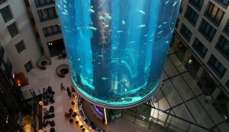 Picture The Aquarium That’s 82 Feet Tall, Has a Glass Elevator, and is Home to 1,500 Fishes