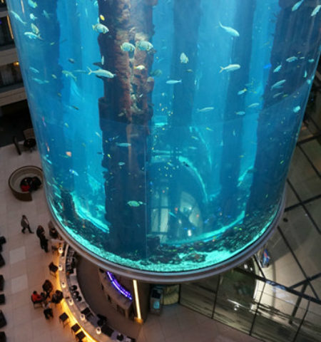 Picture The Aquarium That’s 82 Feet Tall, Has a Glass Elevator, and is Home to 1,500 Fishes