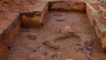 Picture 10 Genuine Proofs that Show Humans Existed More Than 5,000 Years Ago