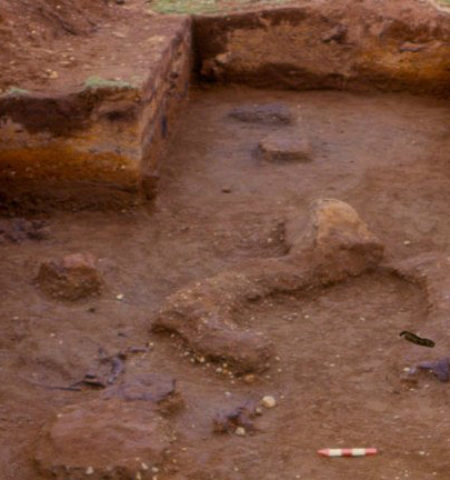 Picture 10 Genuine Proofs that Show Humans Existed More Than 5,000 Years Ago