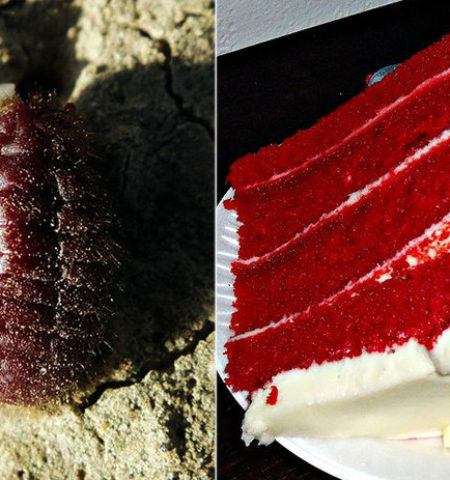 Picture 18 Extremely Unsettling Facts