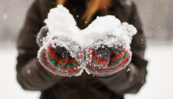 Picture 10 Really Important Facts