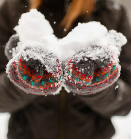 Picture 10 Really Important Facts