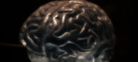 Picture 10 Astounding Facts About Human Brain