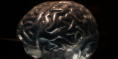 Picture 10 Astounding Facts About Human Brain
