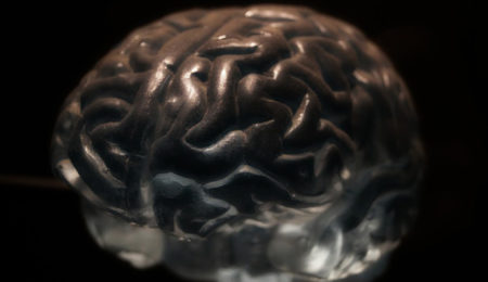 Picture 10 Astounding Facts About Human Brain