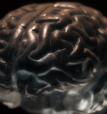 Picture 10 Astounding Facts About Human Brain