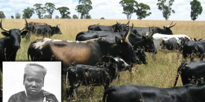 Picture 10 Greatest Acts of Mass Stupidity