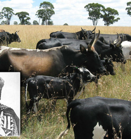 Picture 10 Greatest Acts of Mass Stupidity