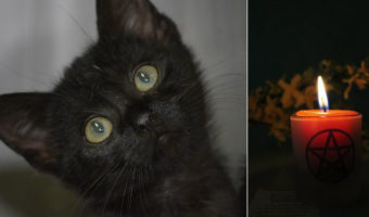 Picture 10 Freaky Facts About Halloween