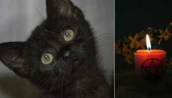 Picture 10 Freaky Facts About Halloween