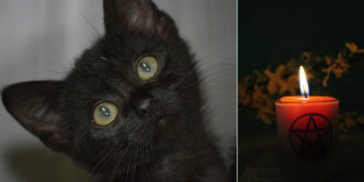 Picture 10 Freaky Facts About Halloween