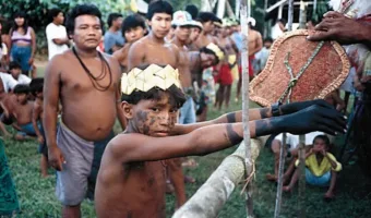 Picture Why Sateré-Mawé Warriors Endure the Bullet Ant Sting